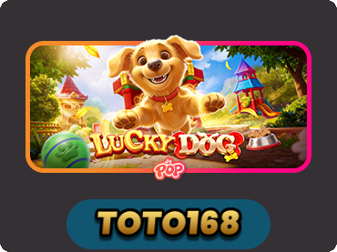 Lucky Dog